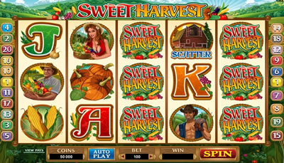 Sweet Harvest Slots