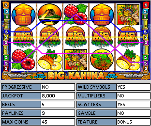 Big Kahuna Online Slots