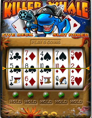 Killer Whale slots