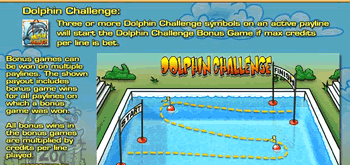 Kangaroo Zoo Dolphin Challenge Bonus